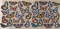 16oz decal, butterfly